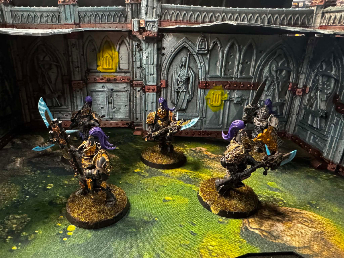 Custodian Guard Pre-Owned (4x spears 1x sword/shield)