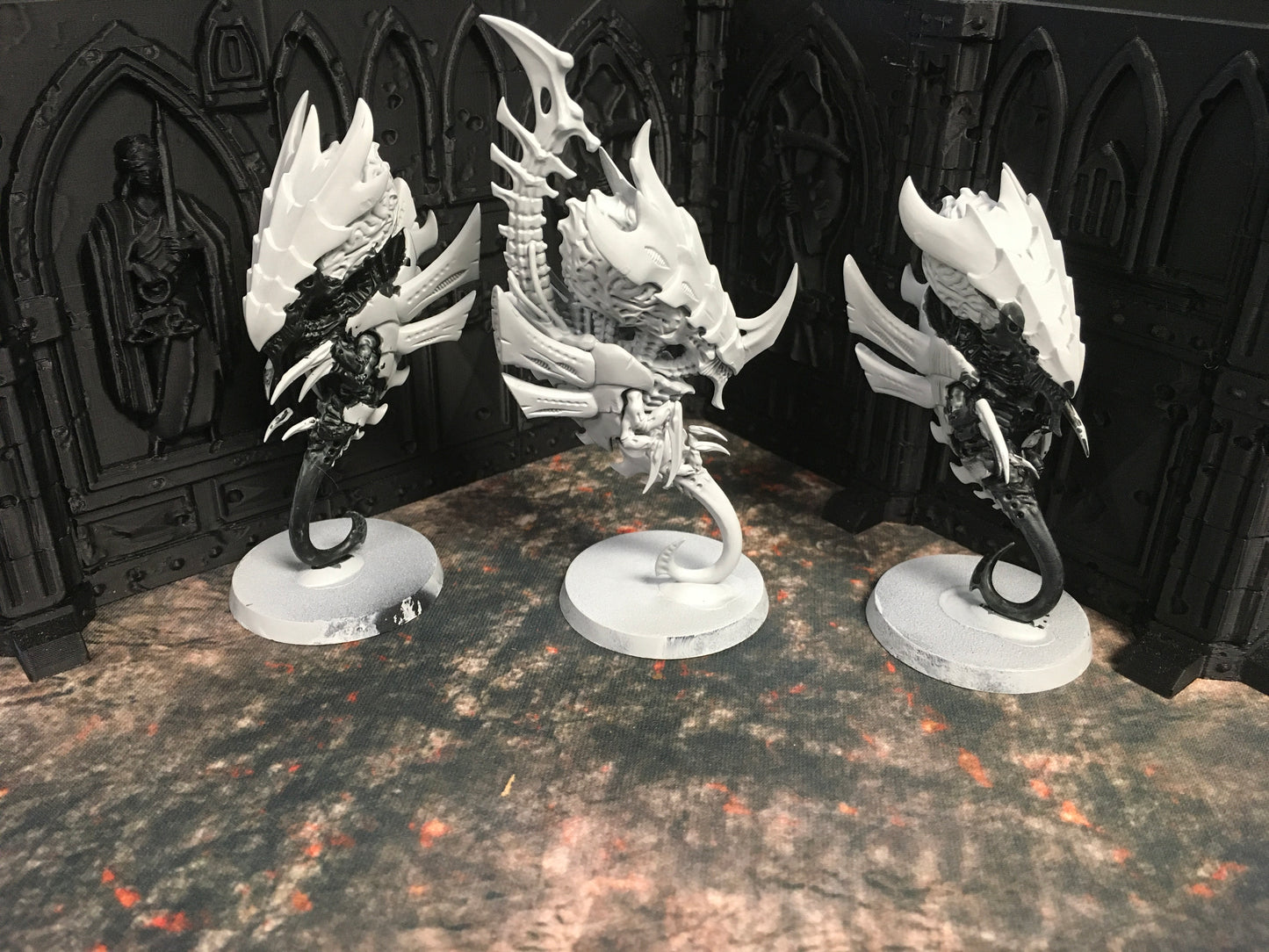 Pre-Owned Zoanthropes