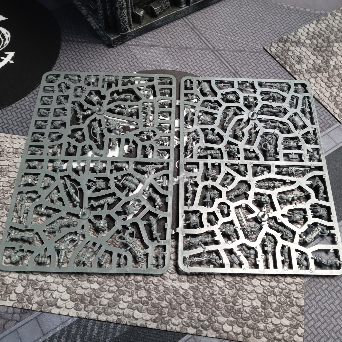 Cadian Shock Troops Nos