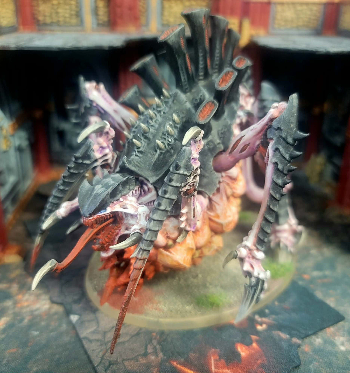 Tervigon Pre-Owned