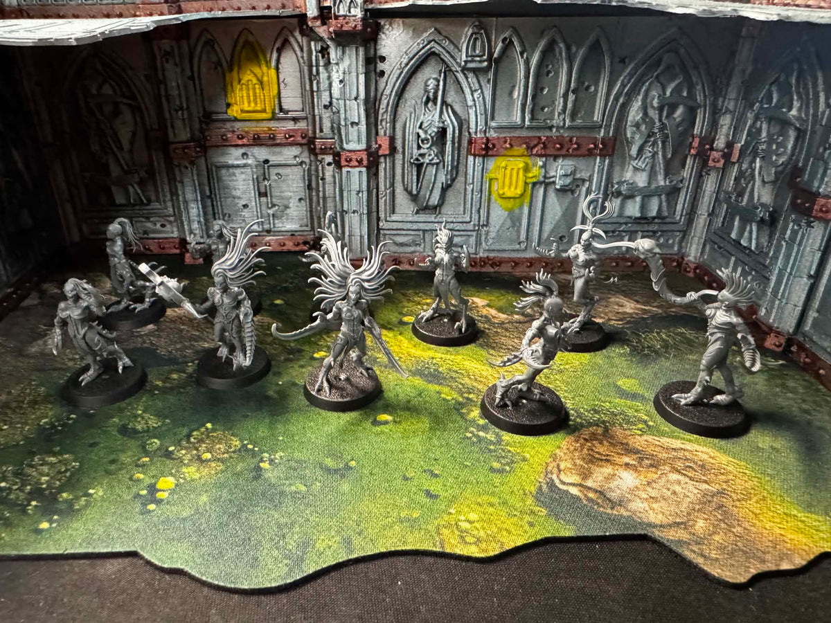 Daemonettes Of Slaanesh Pre- Owned