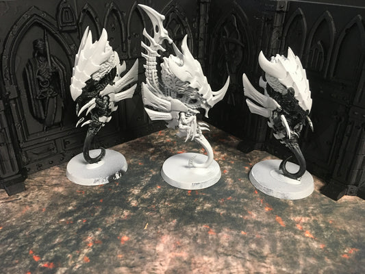 Pre-Owned Zoanthropes