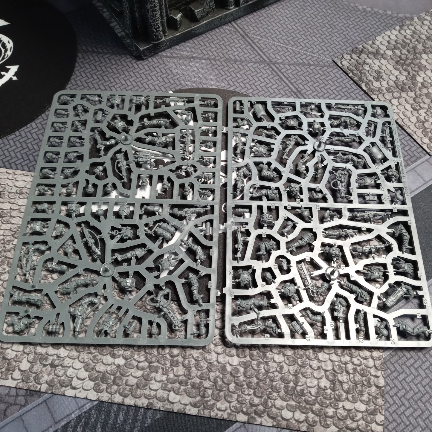 Cadian Shock Troops Nos