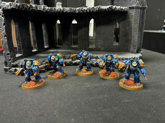 Terminators (BLUE) Pre-Owned