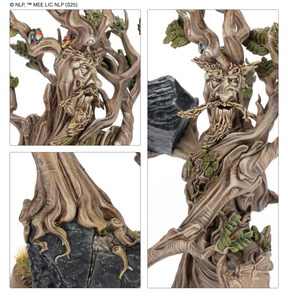 Beechbone™ the Ent™