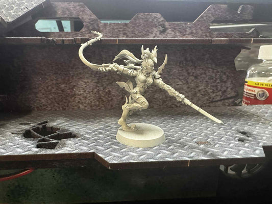 Succubus Pre-Owned