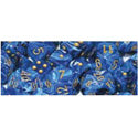 CHX27836	D6 12mm Vortex Blue/Gold