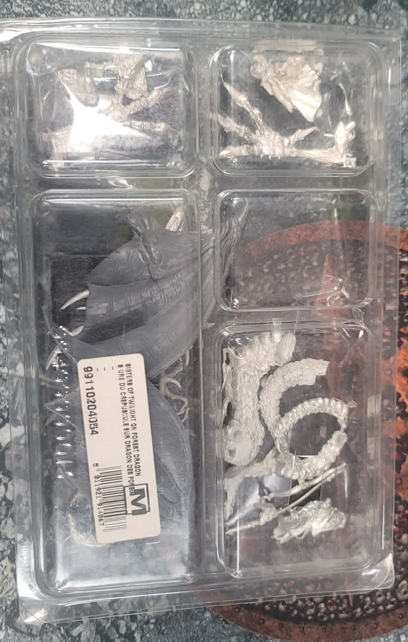 OOP Wood Elves Sisters of Twilight on Forest Dragon